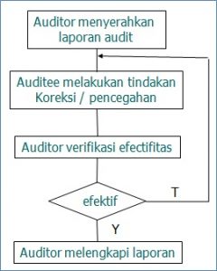 Tindak Lanjut Internal Audit adalah