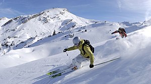 Alpine skiing atau downhill skiing